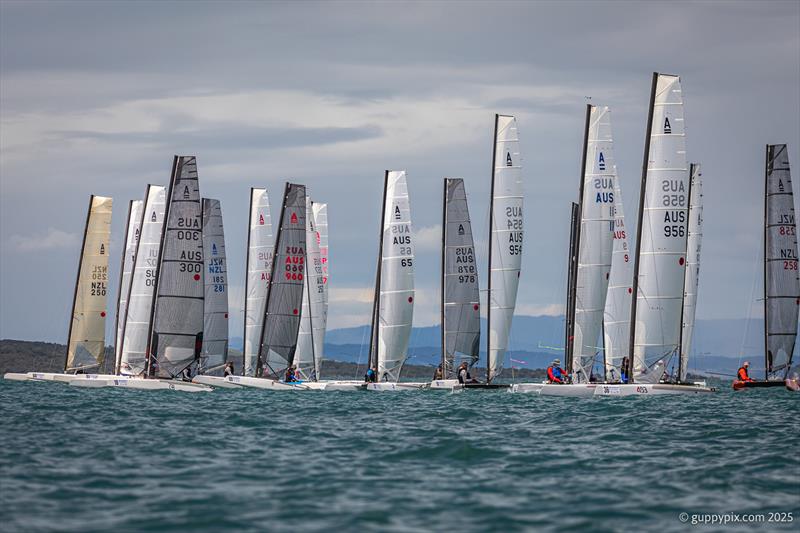 PredictWind A-Class Cat Worlds 2025 - The Classic fleet well behaved at the start on Castor Bay - photo © Gordon Upton / www.guppypix.com