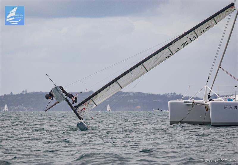 Mike Drummond commencing his elegant boat laydown at the finish line - Day 5 Predictwind A-Class Catamaran World Championships - Milford, NZ - November 15, 2025 - photo © Gordon Upton / www.guppypix.com