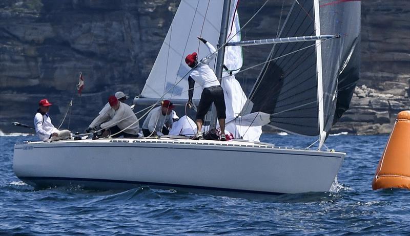 Let Loose on day 2 of the Adams 10 Australian Championship photo copyright Marg Fraser-Martin taken at Middle Harbour Yacht Club and featuring the Adams 10 class