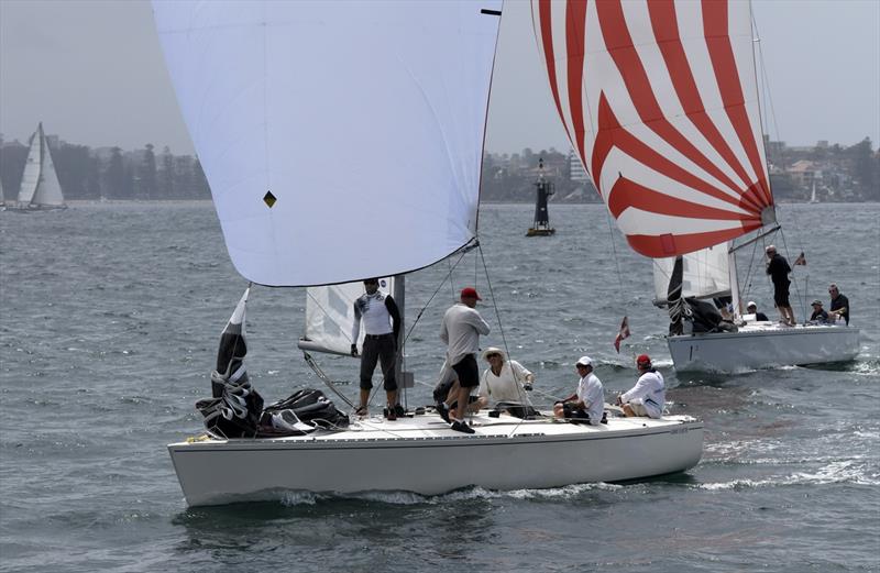 Let Loose on day 3 of the Adams 10 Australian Championship photo copyright Marg Fraser-Martin taken at Middle Harbour Yacht Club and featuring the Adams 10 class