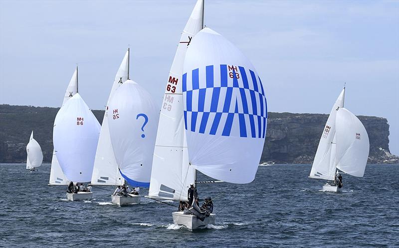 The fleet downwind on day 3 of the Adams 10 Australian Championship - photo © Marg Fraser-Martin