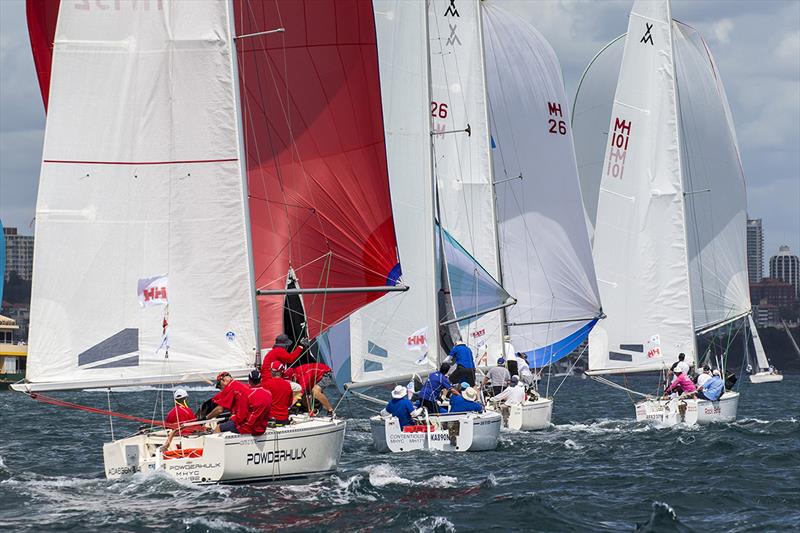 Competition could not be closer in the Adams 10 NSW Championship - 2019 Sydney Harbour Regatta photo copyright Andrea Francolini taken at Middle Harbour Yacht Club and featuring the Adams 10 class