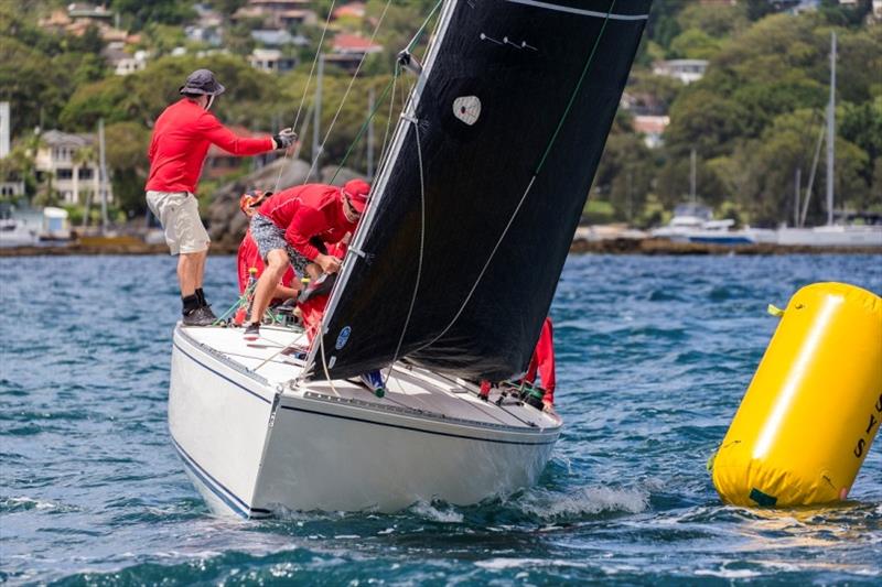 Powderhulk finds her mojo - Sydney Harbour Regatta 2019 photo copyright Andrea Francolini taken at Middle Harbour Yacht Club and featuring the Adams 10 class