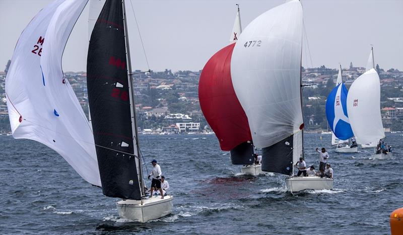 2020 Adams 10 Australian Championship photo copyright Marg Fraser-Martin taken at Middle Harbour Yacht Club and featuring the Adams 10 class