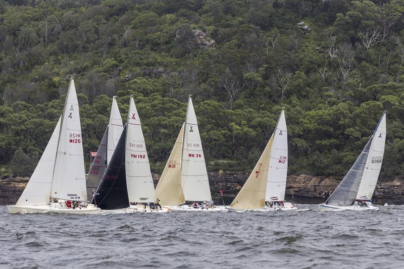 Adams 10s - an extremely competitive class at the 2022 Sydney Harbour Regatta - photo © Andrea Francolini / MHYC