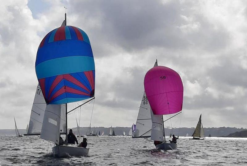 Polly Oliver and Troy - Ajax class at Falmouth Week 2021 photo copyright Lindsey Thomas taken at  and featuring the Ajax class