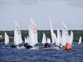 Albacore Internationals at Shelburne, Nova Scotia day 2 © Pauline Rook