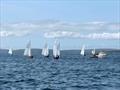 &copy; Gilbert Williamson plus Albacore supporters