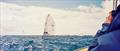 © Montgomery Family Archive - 1995 America's Cup, San Diego, May 13, 1995 © Montgomery Family Archive