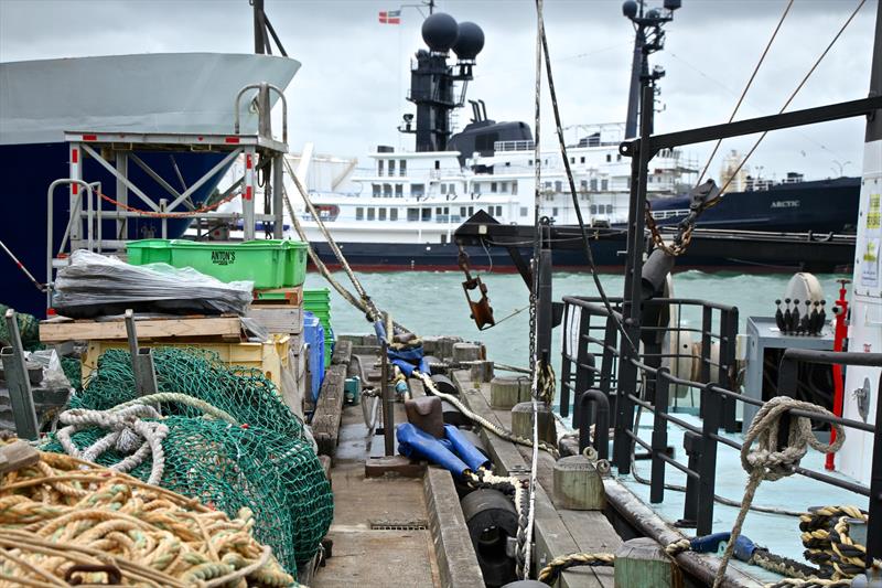 More fishing ambiance from the end of Halsey Street Wharf - Wynyard Point, Auckland, January 31, 2018 - photo © Richard Gladwell