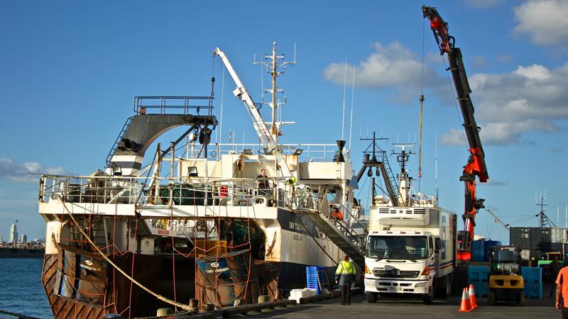 Rusty fishing boats being unloaded by crane are supposed to provide some ambience to the raea photo copyright Richard Gladwell taken at New York Yacht Club and featuring the ACC class