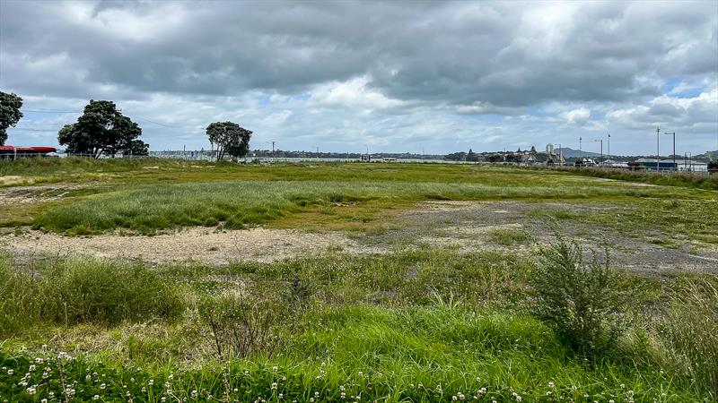 Wynyard Point looking north to the proposed race area - November 2023 - photo © Richard Gladwell / Sail-World.com/nz