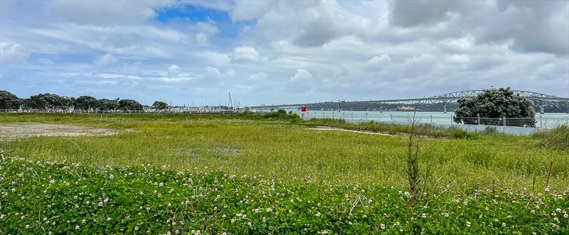 Wynyard Point looking west towards Royal NZ Yacht Squadron - November 2023 - photo © Richard Gladwell / Sail-World.com/nz