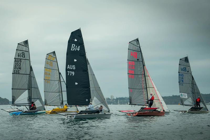 B14 NSW State Titles at Woollahra Sailing Club - Light conditions for starting on Day 2 photo copyright DarcNmedia / www.instagram.com/darcn_media/ taken at Woollahra Sailing Club and featuring the B14 class