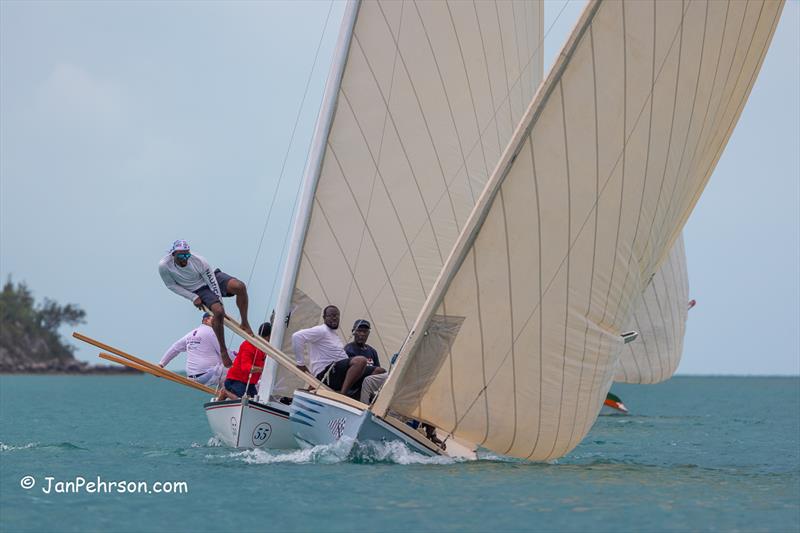 When you are young, you can run all over the pry boards - photo © Jan Pehrson