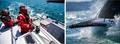 © Groupe Beneteau