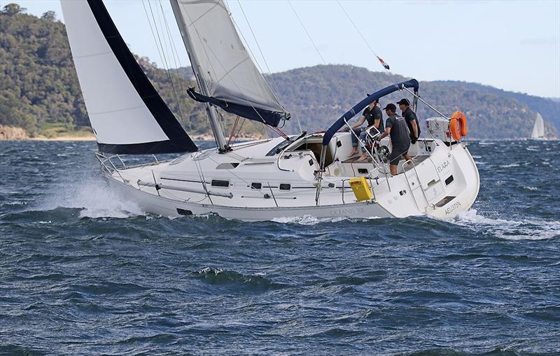 One of the last group to go around Lion Island was, Elara. - photo © John Curnow