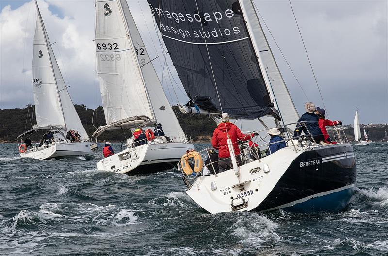 Currwong, Flying Circus and Big Blue all head back down the Harbour during Race Two - photo © John Curnow