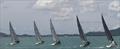 Coronation Cup, OMYC Jomtien © Guy Kennard
