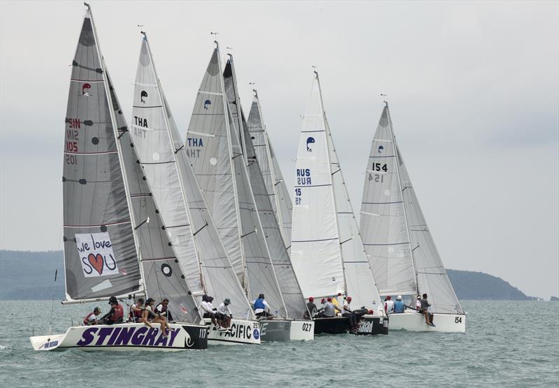 The highly competitive one-design Platu Class will go down to the wire at the 2017 Top of the Gulf Regatta photo copyright Guy Nowell taken at Ocean Marina Yacht Club and featuring the Platu 25 class