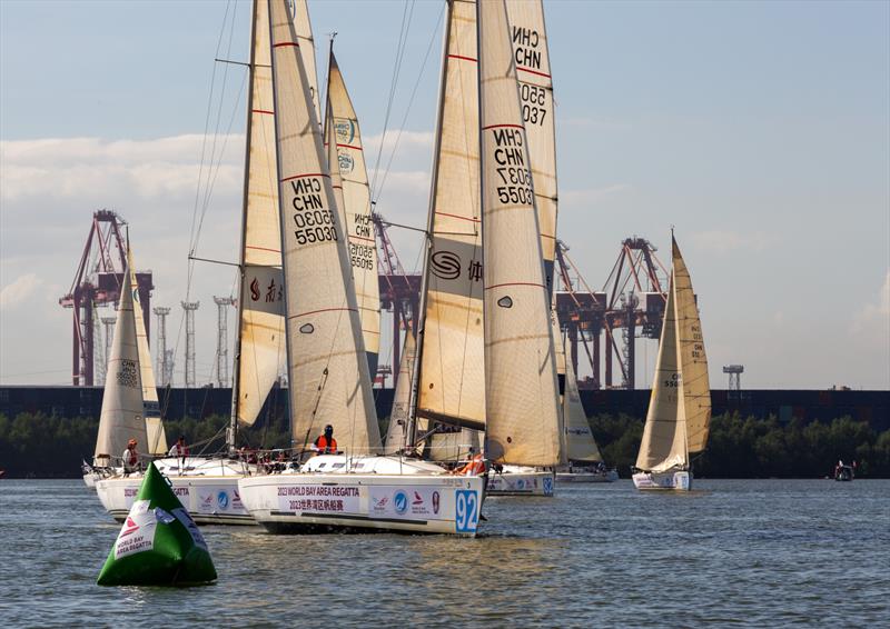 2023 World Bay Area Regatta - photo © Guy Nowell / World Bay Area Regatta