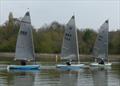 British Moths at Leamington Spa © Jayne Whigham