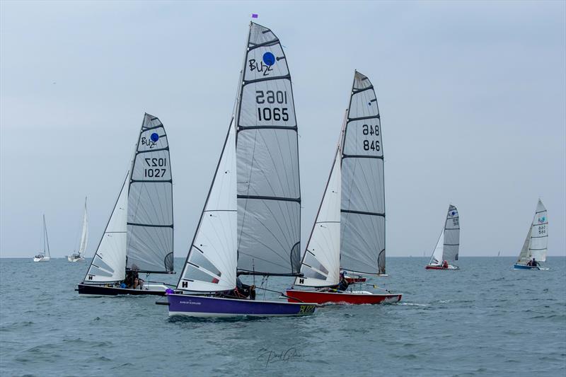 Buzz Nationals at Plymouth photo copyright @PaulGibbinsPhotography taken at Mount Batten Centre for Watersports and featuring the Buzz class