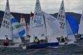 The Off the Beach classes were busy on the River Derwent - 2023 Banjos Shoreline Crown Series Regatta day 2 © Jane Austin