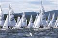 Day 2 of the Cadet World Championship at Lake Lipno © Pavlina Soukupova Mareckova / PAYA