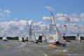 Waldringfield Cadet Week 2026 &copy; Emma Winchester