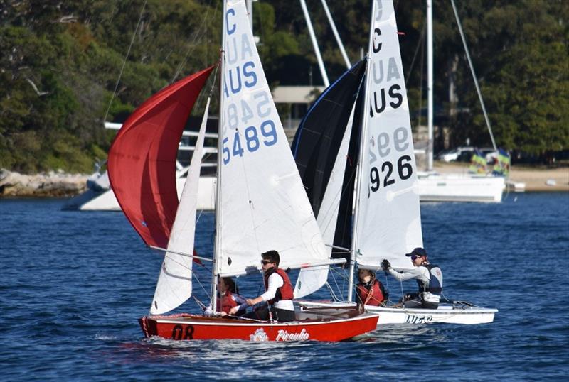 youth sailboat racing