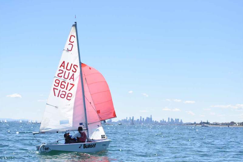 sandringham yacht club fishing