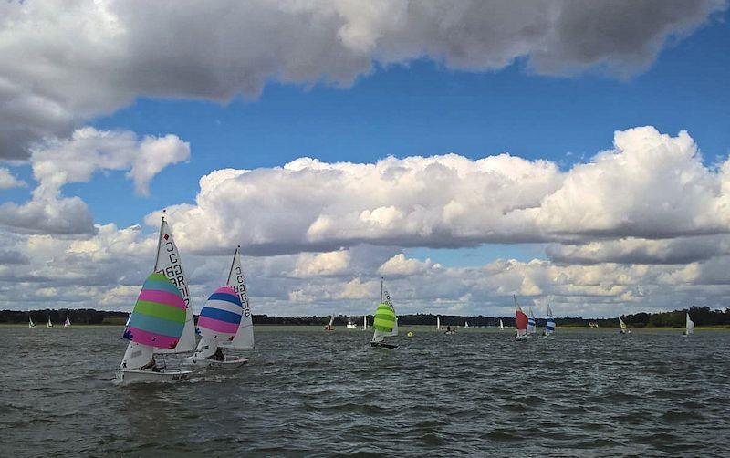 Waldringfield Cadet Week 2019 photo copyright Neil Collingridge taken at Waldringfield Sailing Club and featuring the Cadet class