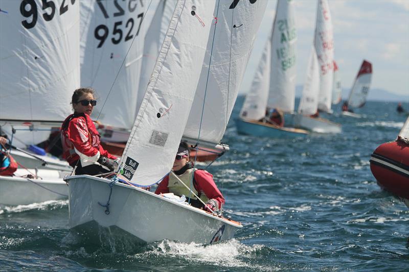 Cadets at Sail Sandy Regatta photo copyright Nicholas Duell taken at Sandringham Yacht Club and featuring the Cadet class