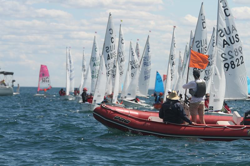 The International Cadet fleet is showing strong numbers for Sail Sandy - photo © Nicholas Duell