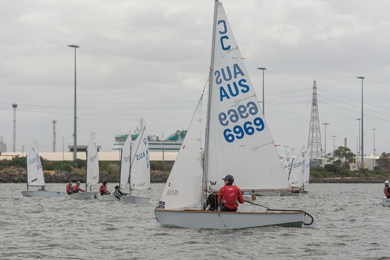 The International Cadet fleet had some close racing with a large fleet across the weekend - Lipton Cup Regatta photo copyright Damian Paull taken at Royal Yacht Club of Victoria and featuring the Cadet class