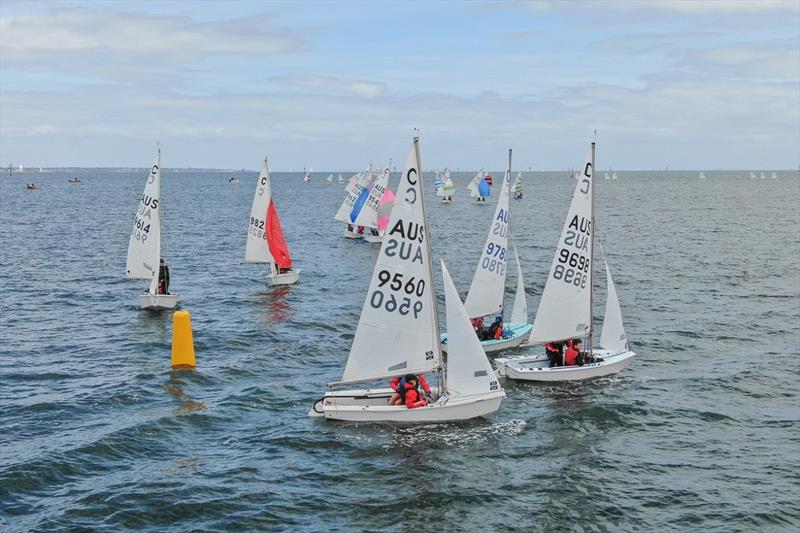 Racing will take place in the northern part of Melbourne's Port Phillip Bay - International Cadet World Championships photo copyright Harry Fisher taken at Royal Yacht Club of Victoria and featuring the Cadet class