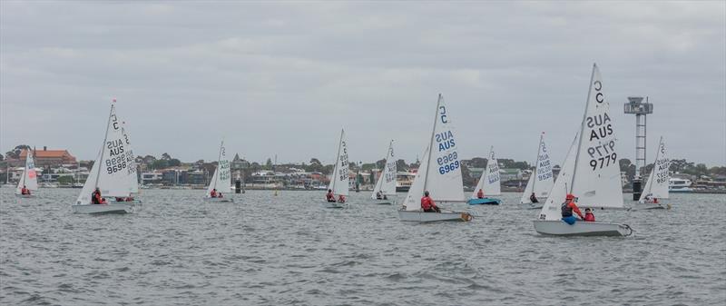 The Royal Yacht Club of Victoria has a rich history of racing International Cadets photo copyright Damian Paull taken at Royal Yacht Club of Victoria and featuring the Cadet class