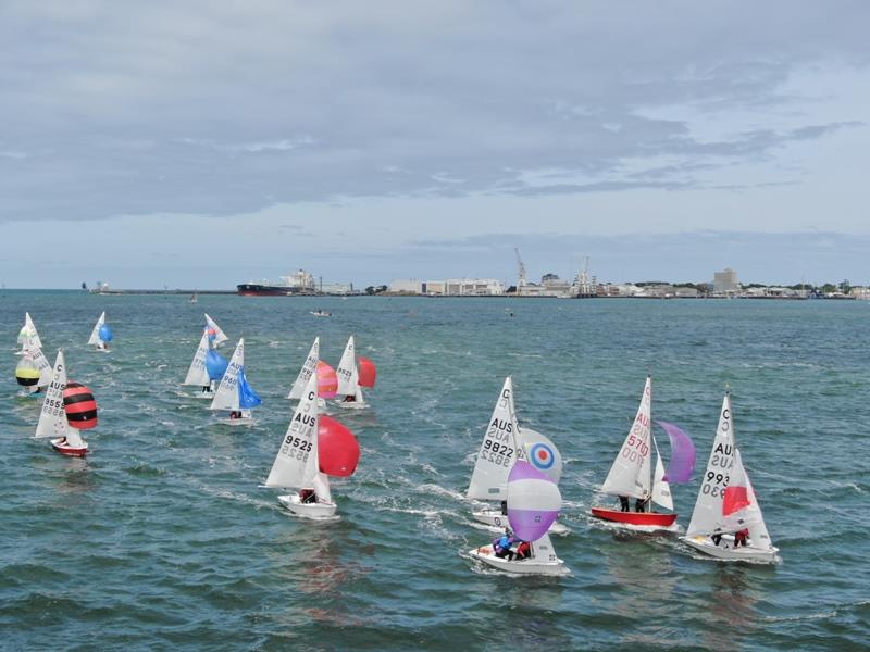 Australian International Cadet Championship photo copyright International Cadet Class of Australia taken at Royal Yacht Club of Victoria and featuring the Cadet class