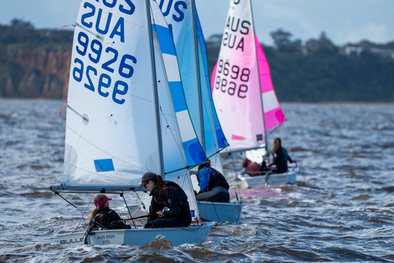 Lillyanne Johnston and Dillan Barnes in Bullet took the International Cadet event win photo copyright Jordan Roberts taken at Sandringham Yacht Club and featuring the Cadet class