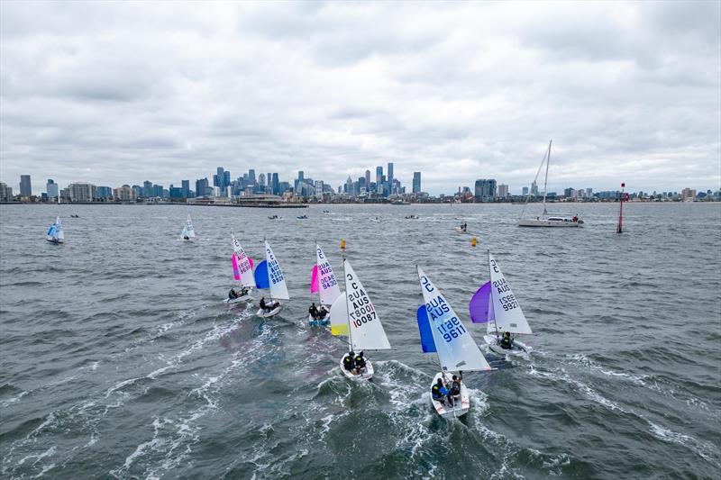 Cadet Worlds in Melbourne Day 1 photo copyright FSR Industries - Media House taken at Royal Yacht Club of Victoria and featuring the Cadet class