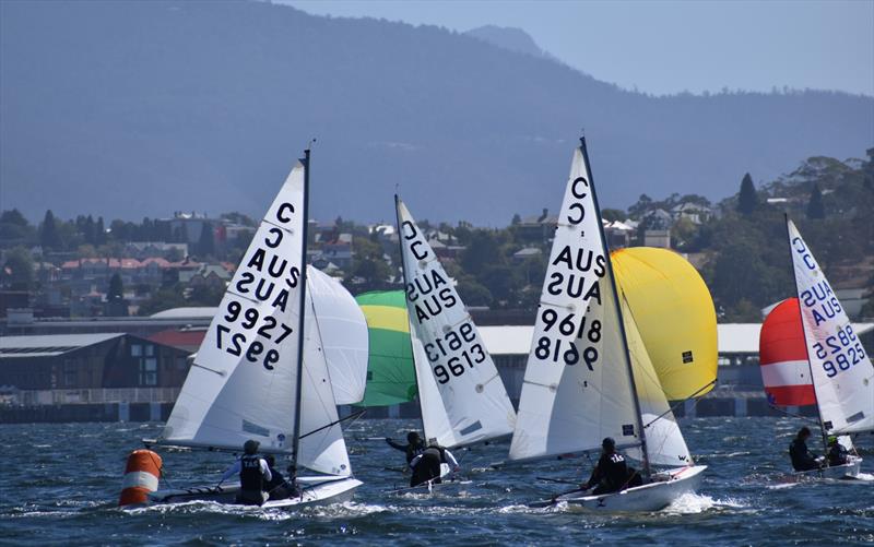 (L to R) Squid, Little Devil, Schmoken and Tsunami are enjoying the glamour sailing on the River Derwent in Hobart - 20th Banjo's Shoreline Crown Series Bellerive Regatta, day 1 photo copyright Jane Austin taken at Bellerive Yacht Club and featuring the Cadet class