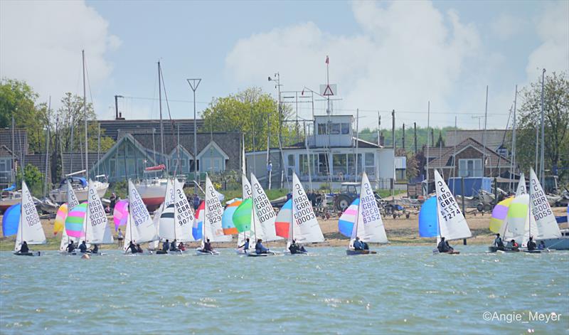 Cadet class Peter Scott Trophy at Stone photo copyright Angie Meyer taken at Stone Sailing Club and featuring the Cadet class