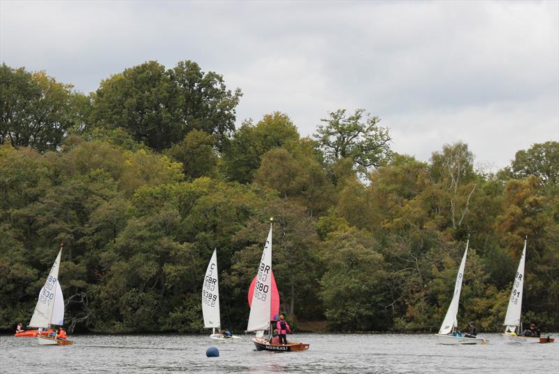 Cadet class October training at Frensham photo copyright Alex Muir Wood taken at Frensham Pond Sailing Club and featuring the Cadet class