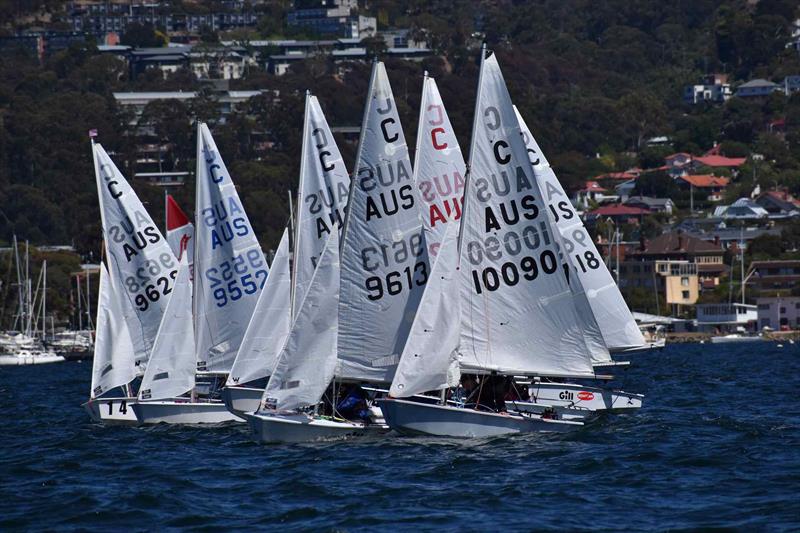 A tight bunch of International Cadets on the start line of the first race in the 2026 Banjo's Shoreline Crown Series Bellerive Regatta photo copyright Jane Austin taken at Bellerive Yacht Club and featuring the Cadet class