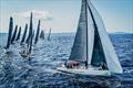 2026 Cape 31 Mediterranean Series in Hyères Day 3 &copy; Sailing Energy / Cape 31 Class Association