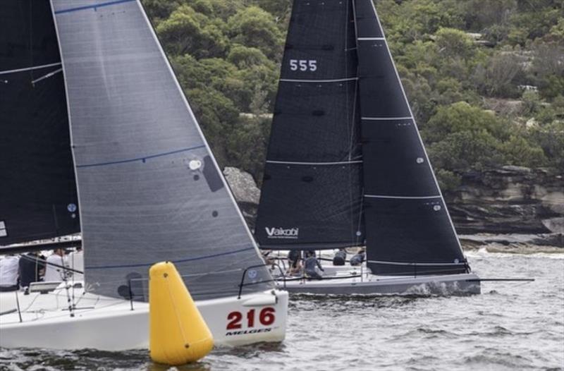 Cape 31 racing at the Sydney Harbour Regatta photo copyright Andrea Francolini taken at Middle Harbour Yacht Club and featuring the Cape 31 class