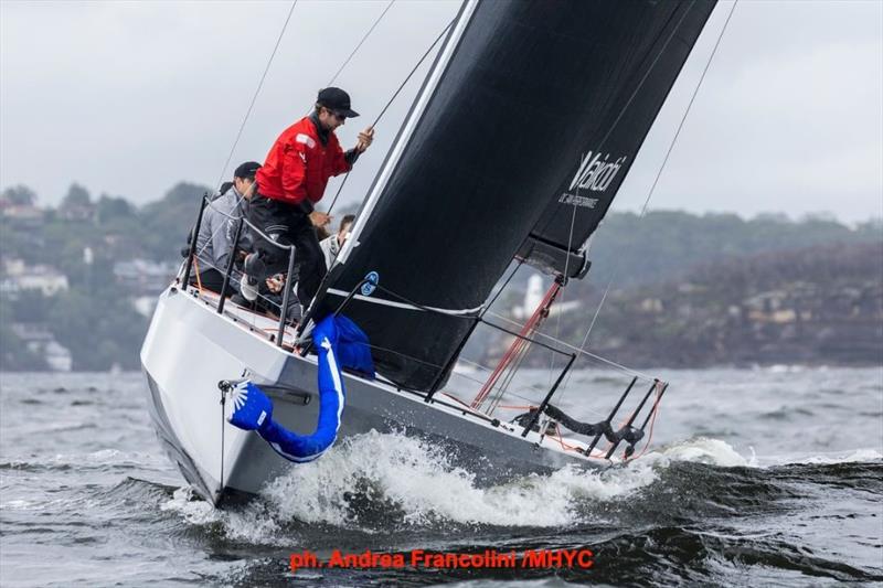 Cape 31 racing at the Sydney Harbour Regatta - photo © Andrea Francolini