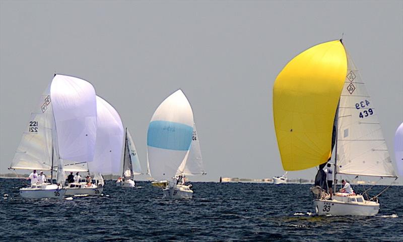 Justin Chambers 'Buc-ee' (sail #221, bow 35) with his crew Doug Thome and Winn took the spinnaker series at the 2021 Catalina 22 National Championship and 50th Anniversary of the class with a 1-1-2 score photo copyright Talbot Wilson taken at Pensacola Yacht Club and featuring the Catalina 22 class