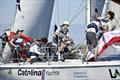 POLA Harbor Cup 2026 &copy; Morrison Photo Ventures